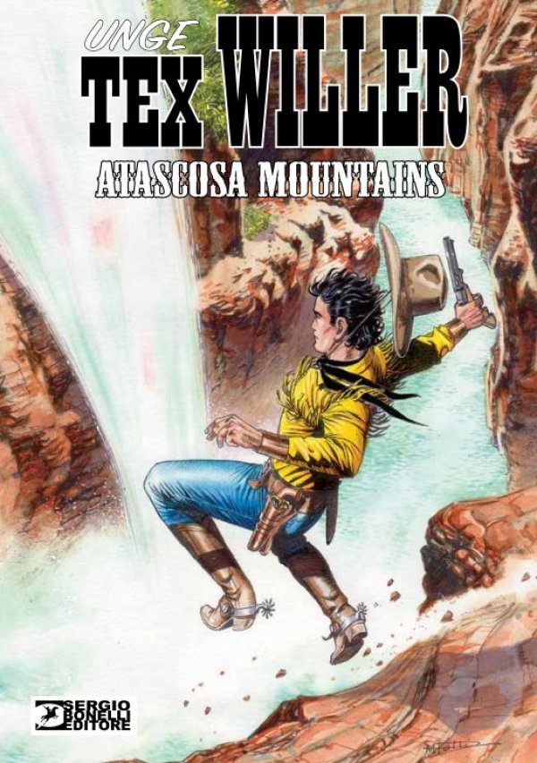 UNGE TEX WILLER NR.13-ATASCOSA MOUNTAINS